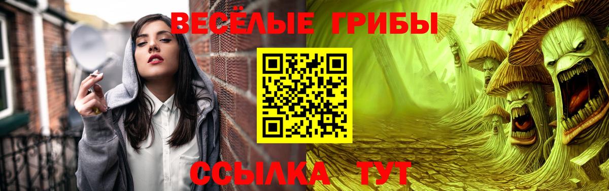 купить наркотики сайты  Вход с VPN  Торжок  Псилоцибиновые грибы Cubensis 